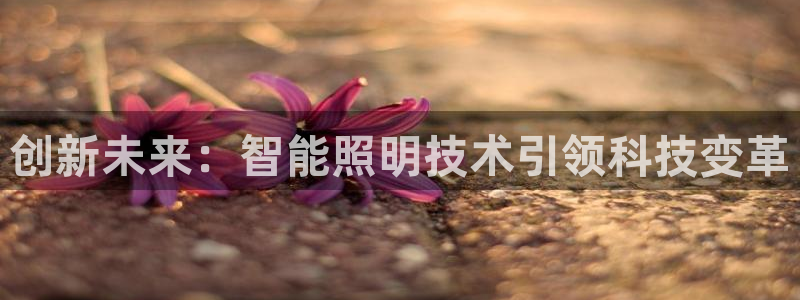 云顶国际app官方下载