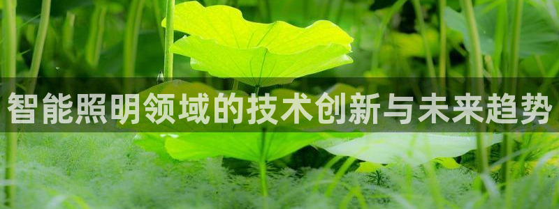 云顶国际官网app下载苹果