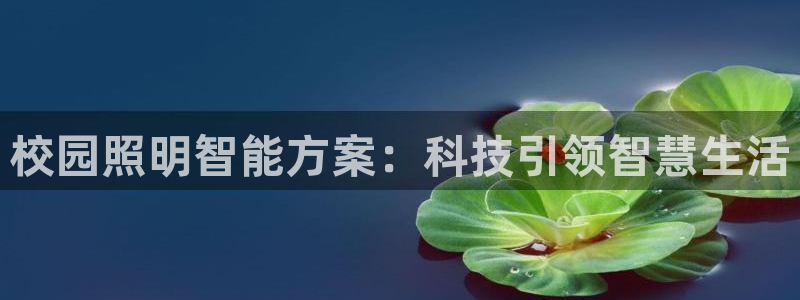 云顶国际平台为什么提现不了呢