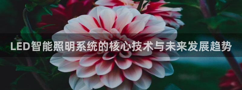 云顶国际服名字：LED智能照明系统的核心