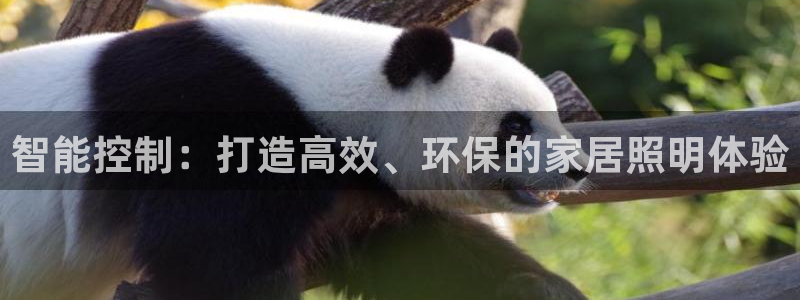 云顶国际测试服怎么进